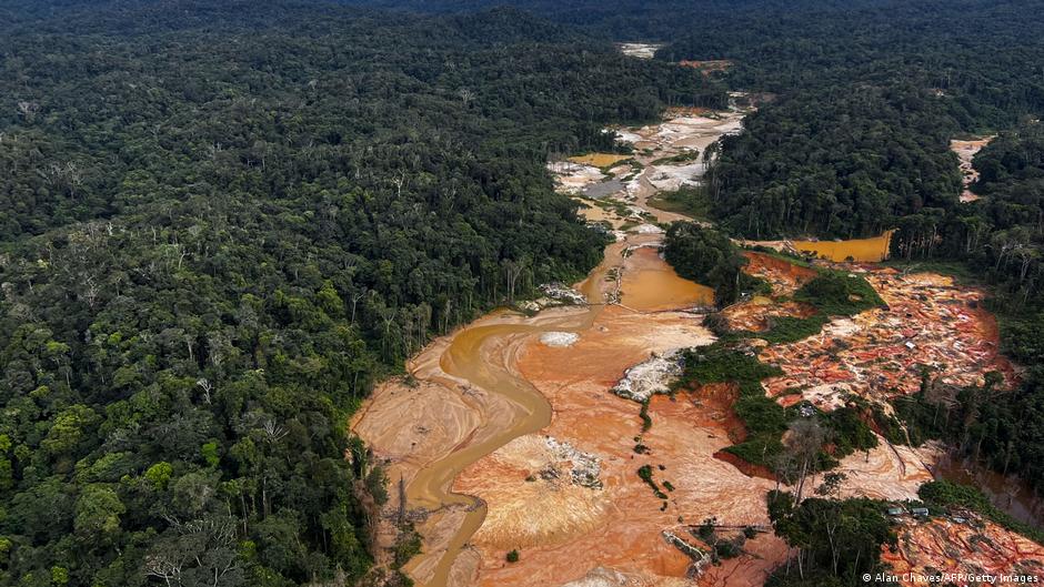 Ecosystem collapse could fuel next global security crisis