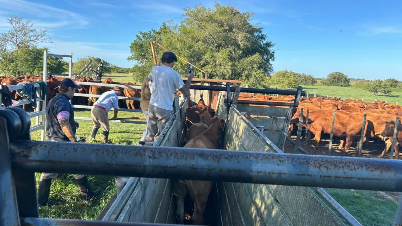 “Atenta contra la estabilidad”: fuerte rechazo del campo por el fallo que suspende artículos clave de la reforma laboral