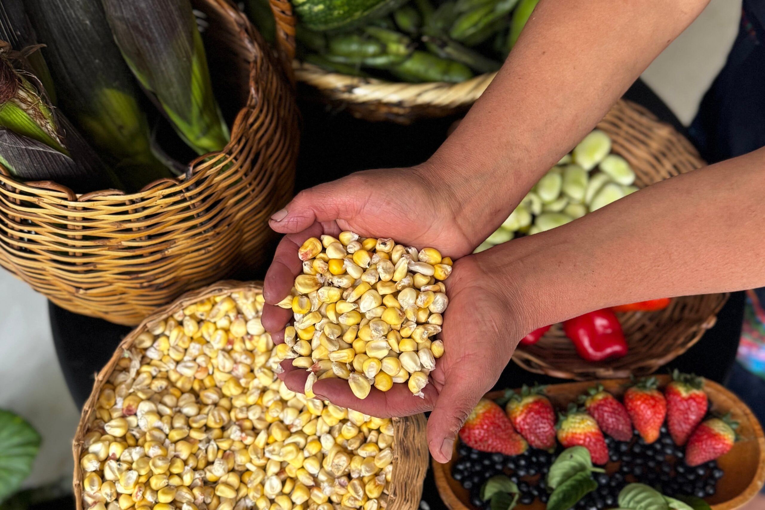 Los precios de los alimentos aumentaron 2,4% a nivel global en marzo como consecuencia del conflicto en Medio Oriente