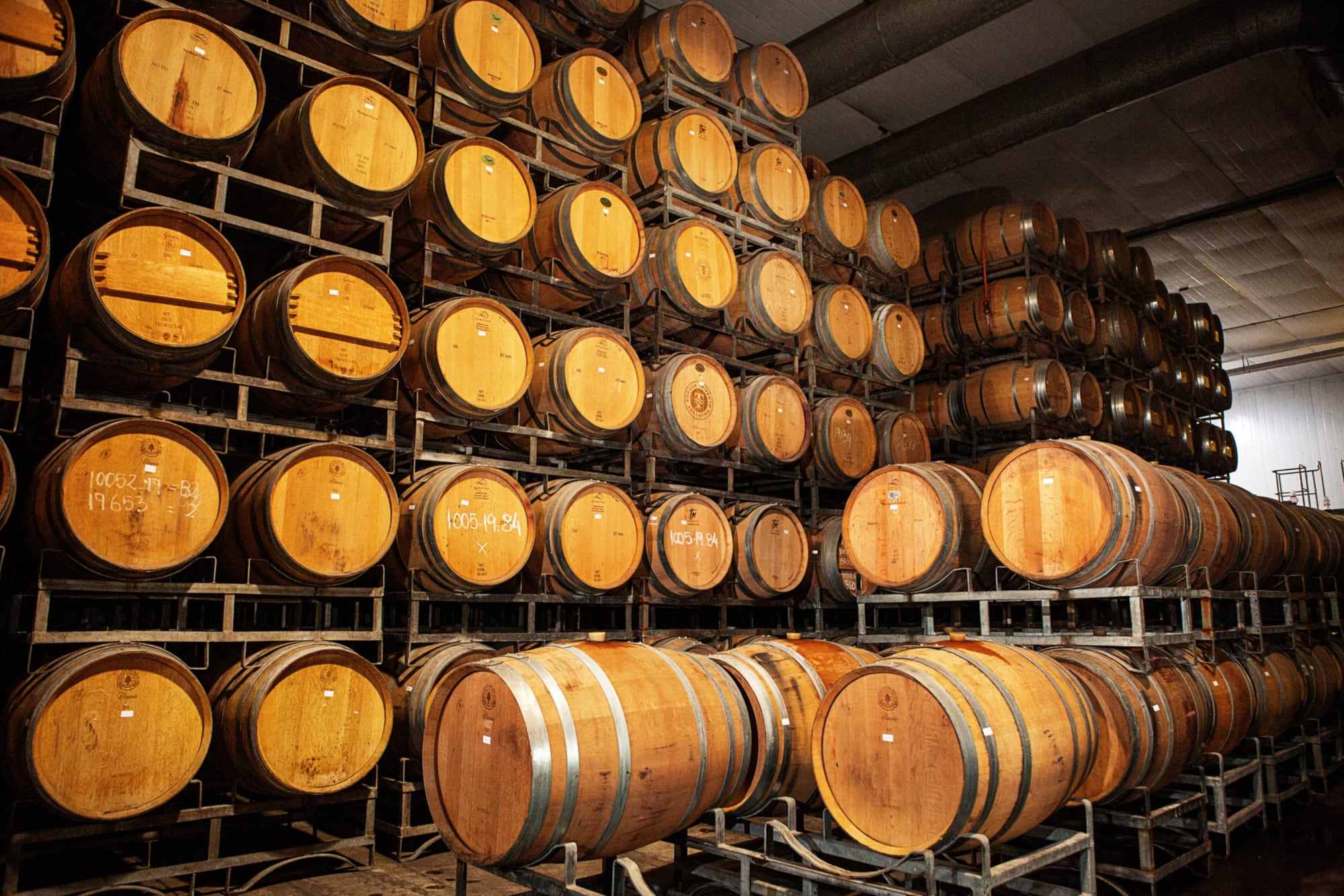 Crisis del vino: las estrategias de las bodegas argentinas ante la caída histórica del consumo
