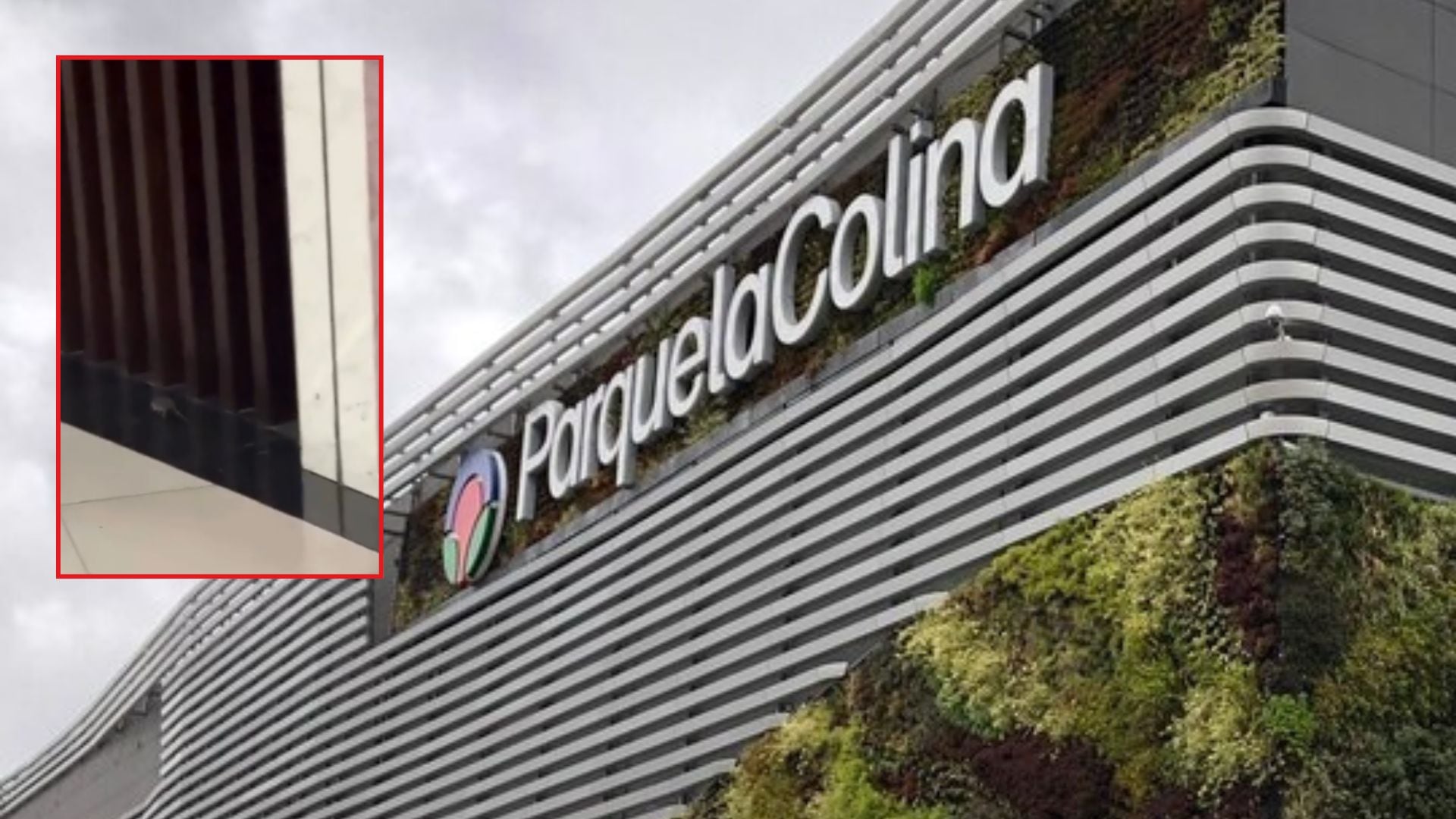 Secretaría de Salud inspeccionó a centro comercial del norte de Bogotá tras denuncia por posible plaga de ratones en zona de comidas: esto encontraron