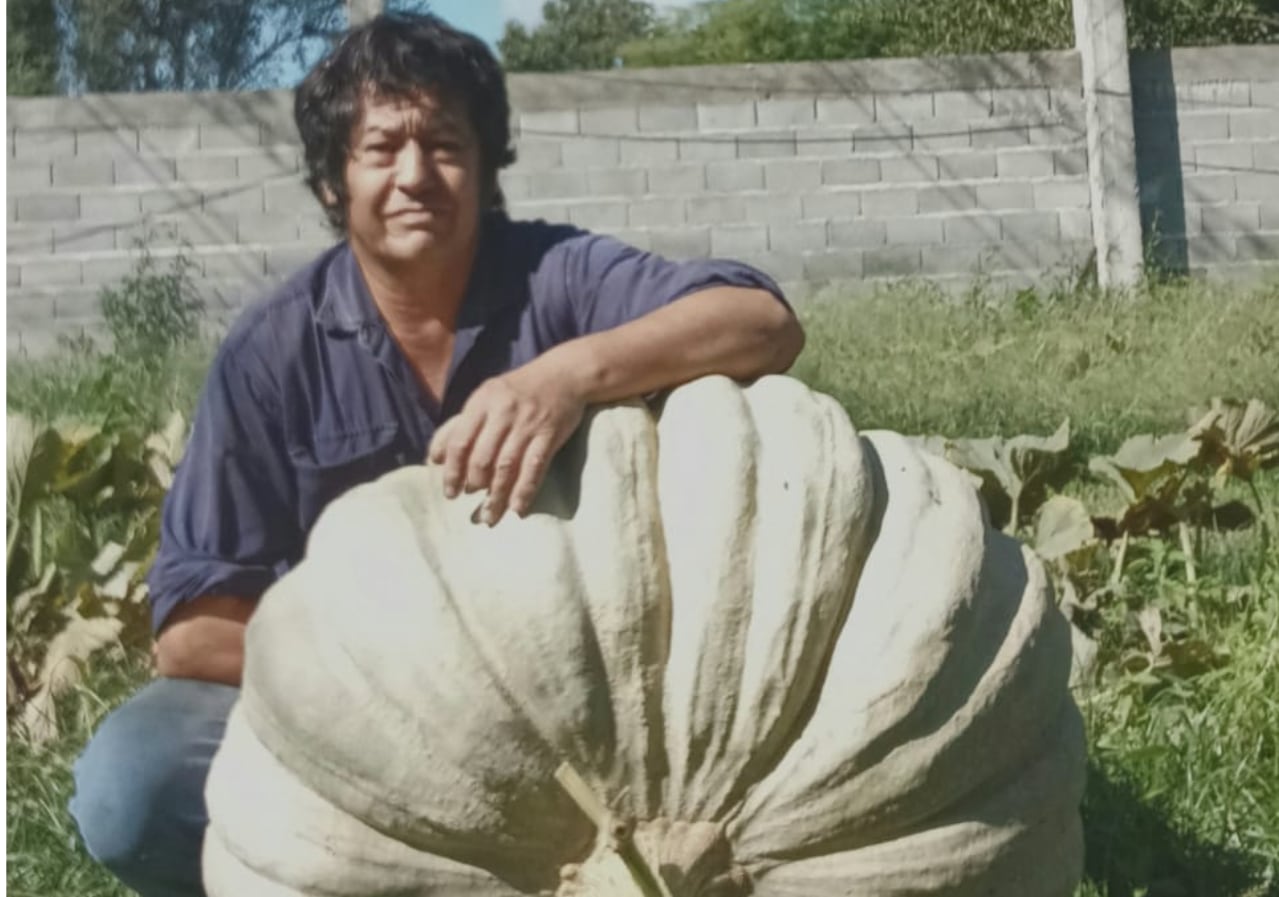 “Esto no es casualidad”: cosechó un zapallo gigante, sorprendió a su pueblo en un festejo y lo regaló