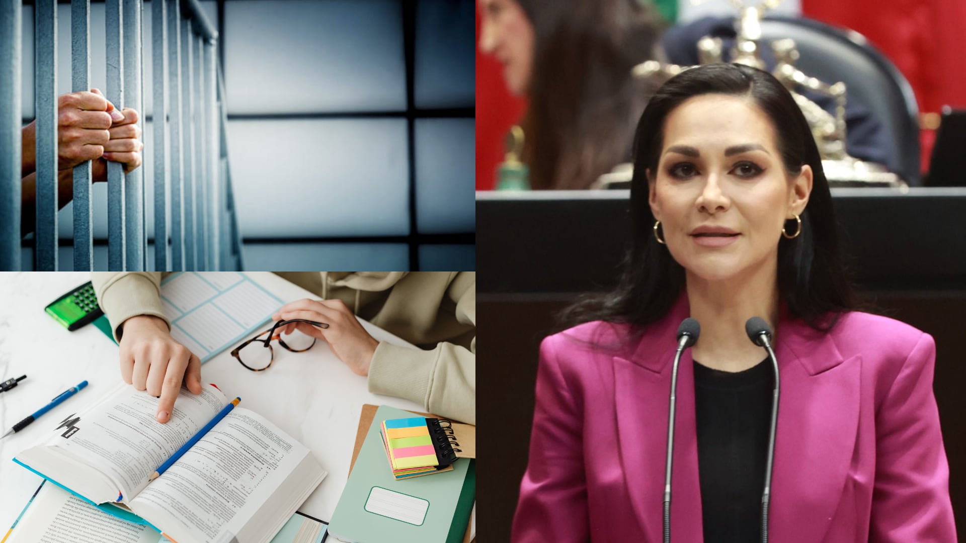 Proponen desde la Cámara de Diputados educación y capacitación laboral para personas en prisión