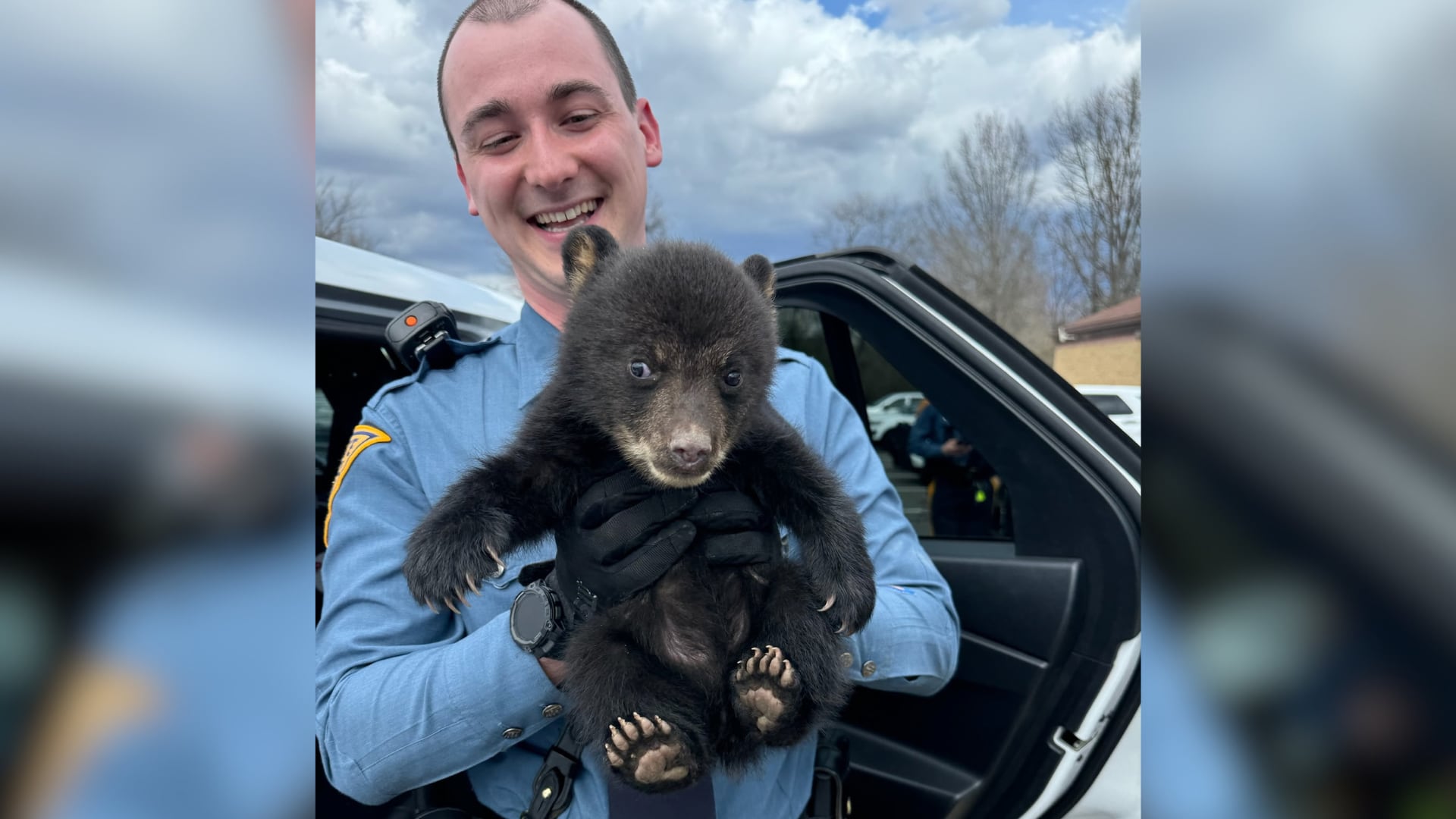 Un cachorro de oso huérfano es rescatado y reubicado por la policía estatal de Nueva Jersey