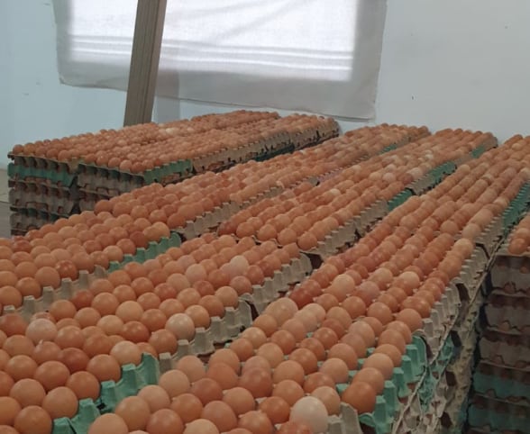 En dónde y a quién: un acuerdo permitirá la donación de 700.000 huevos